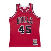Mitchell & Ness NBA Chicago Bulls Michael Jordan 1994-95 Authentic Jersey - Rouge - Jersey