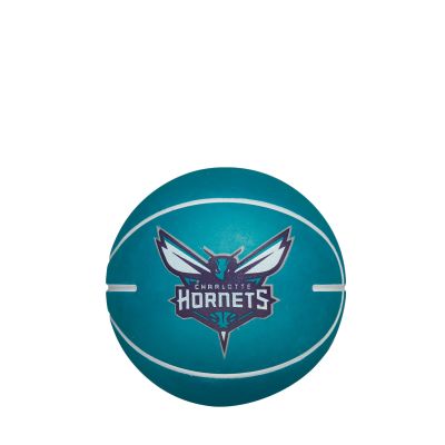 Wilson NBA Dribbler Charlotte Hornets - Bleu - Balle